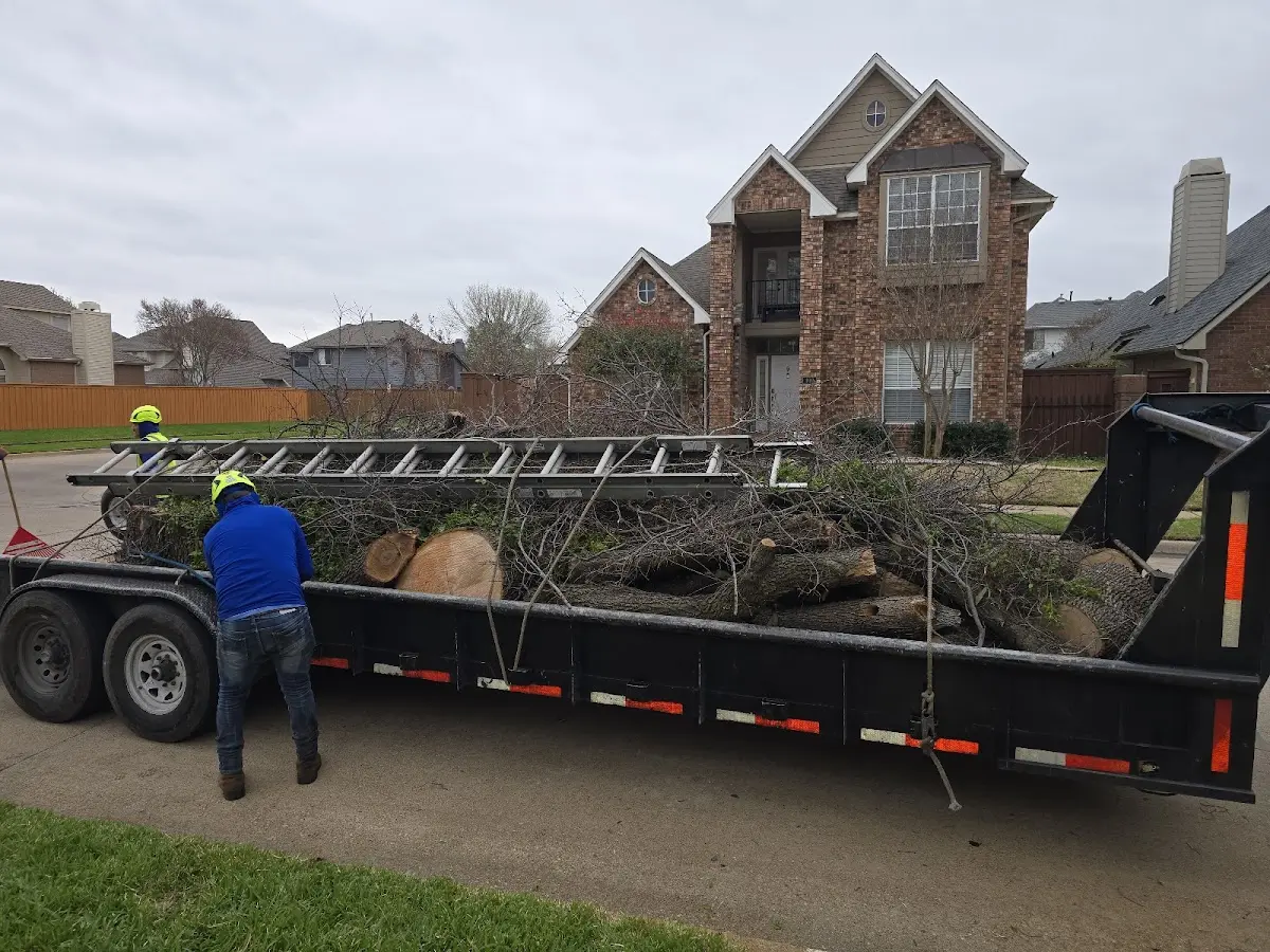 Expert Lot Clearing with proper safety equipment in Midway